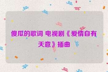 傻瓜的歌词 电视剧《爱情自有天意》插曲