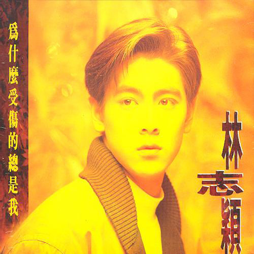 林志颖《为什么受伤的总是我》歌词