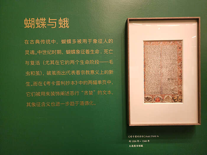 满园青青百草同:齐白石与意大利艺术家的跨时空对话