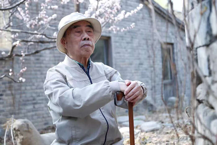晤如画人生,味百岁艺格:戴泽先生百岁艺术展举行