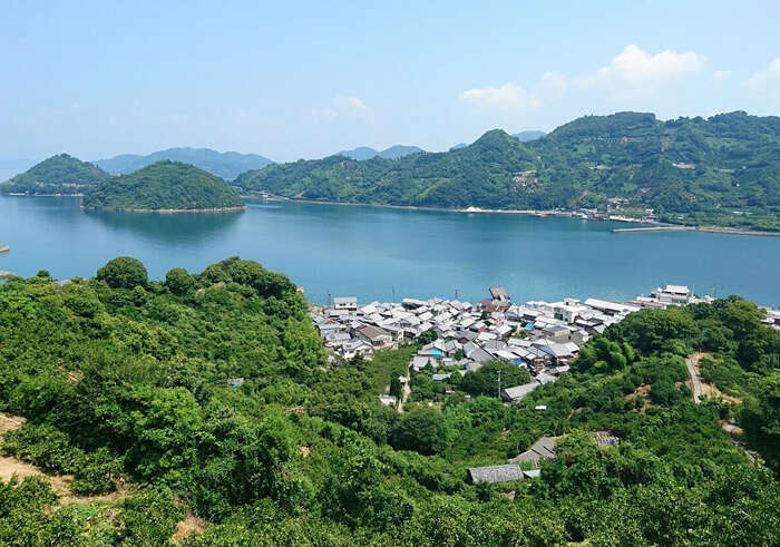 能让居民看得懂的潮祭艺术节——渠蒙专访(3)