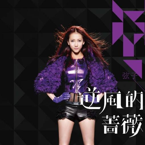 弦子《心里有数》歌词