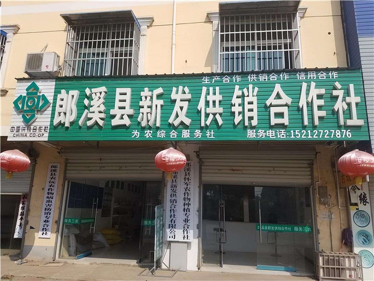 腾讯联手联通!集体经济要回归?资本市场狂欢?真相究竟如何?