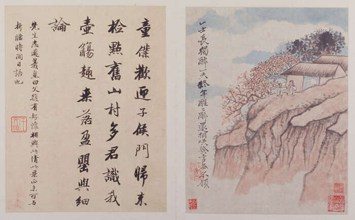 寒露 | 秋意已熟透,万物的欢喜藏在花里