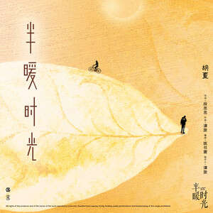 胡夏《半暖时光》歌词