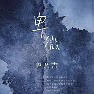 赵乃吉《卑微》歌词