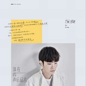 徐良《歌手》歌词
