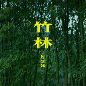 好妹妹《竹林》歌词