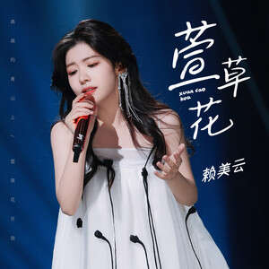 赖美云《萱草花》歌词