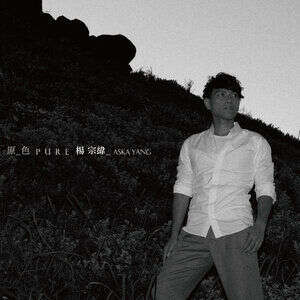 杨宗纬《被遗忘的》歌词