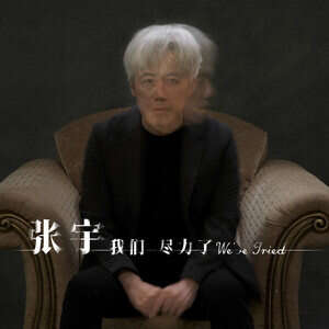 张宇《我们尽力了》歌词