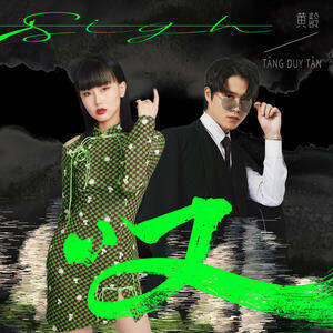 黄龄/Tăng Duy Tân《叹》歌词