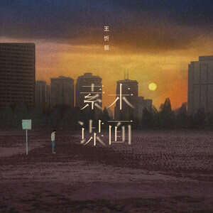 王忻辰《素未谋面》歌词