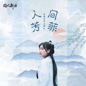 音阙诗听/王梓钰《人间芳菲》歌词