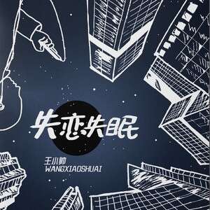 王小帅《失恋失眠》歌词