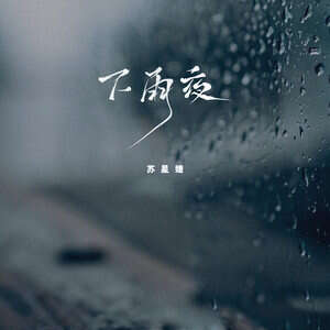 苏星婕《下雨夜》歌词