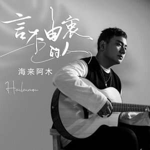 海来阿木《言不由衷的人》歌词