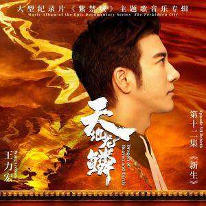 王力宏《天地龙鳞》歌词