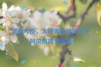 清朝大臣,太师遏必隆第七子阿灵阿简介资料