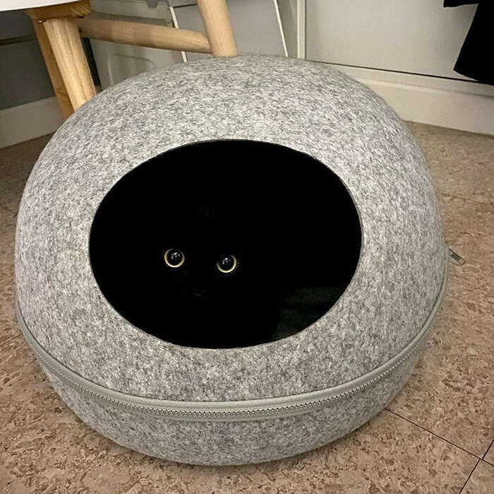 世界上最黑的人