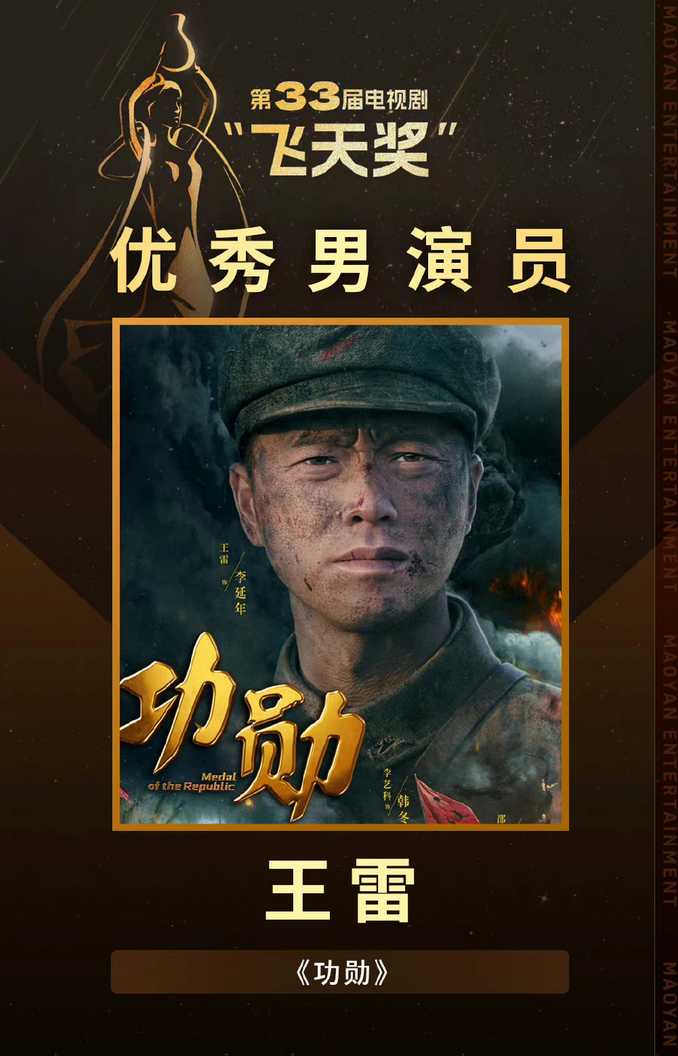 第33届电视剧飞天奖获奖名单