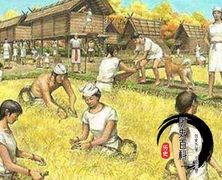 秦朝统一时期世界上其他的国家都在做什么?