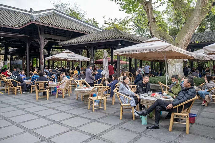 “中国茶”申遗成功!目前我国共有43项世界非遗,位居世界第一