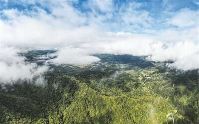 走进海南热带雨林国家公园:展示热带雨林之美