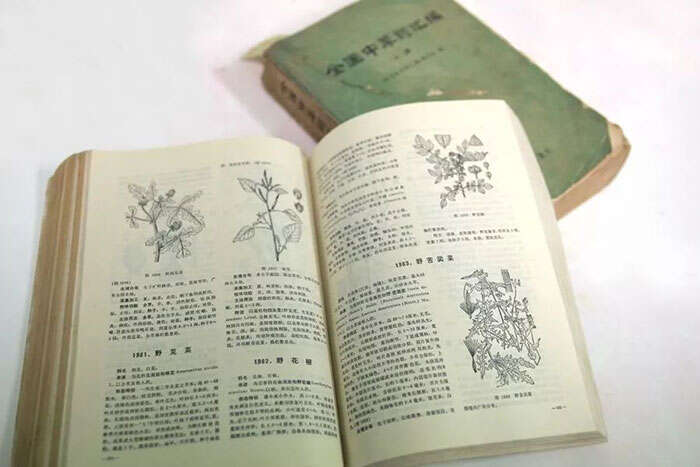 壬寅岁末,艺坛群星黯然殒逝,让我们用缅怀抵抗悲伤