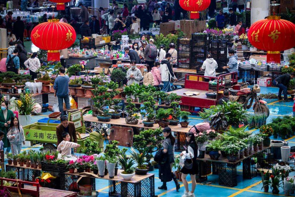 春节后多地文旅市场持续升温