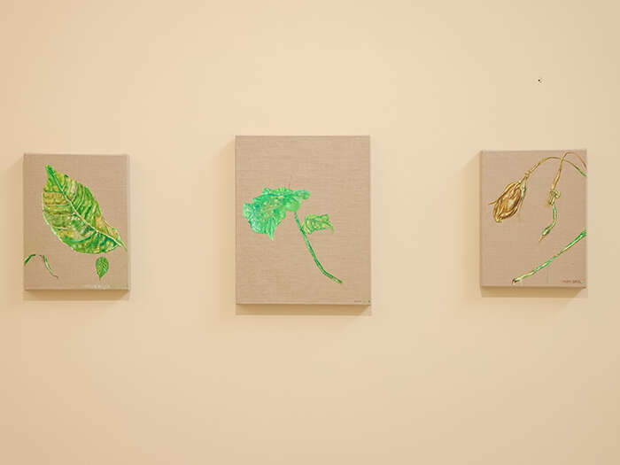 画笔下的生命日记:蔡锦个展“女人花”亮相“頌”艺术中心