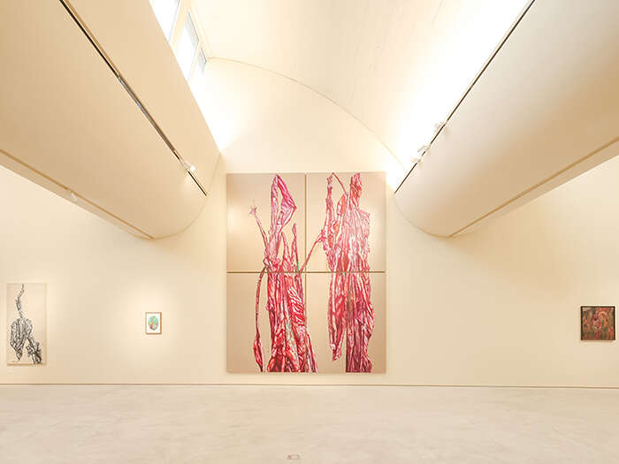画笔下的生命日记:蔡锦个展“女人花”亮相“頌”艺术中心