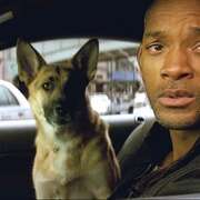 我是传奇 I Am Legend