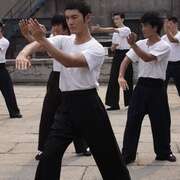 叶问2:宗师传奇