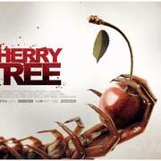 阴桃术 Cherry Tree