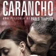 卡拉鹰 Carancho