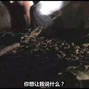 梅根失踪 Megan Is Missing