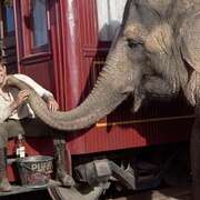 大象的眼泪 Water for Elephants