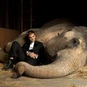 大象的眼泪 Water for Elephants