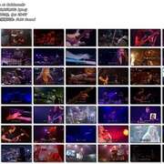 武道馆现场 Dream Theater Live At Budokan