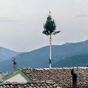 四次 Le quattro volte
