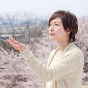 樱,重逢的加奈子 桜、ふたたびの加奈子