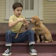 一条狗的使命 A Dog’s Purpose