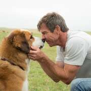 一条狗的使命 A Dog’s Purpose