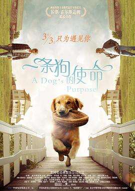 一条狗的使命 A Dog’s Purpose
