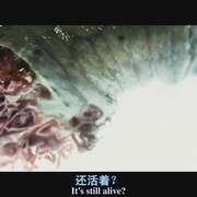 魔窟 The Cave