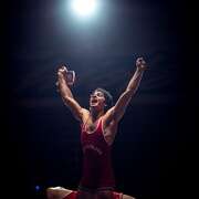 美国奇才摔跤手 American Wrestler: The Wizard