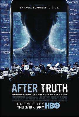 真相之后:造谣与假新闻的代价 After Truth: Disinformation and the Cost of Fake News