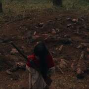 猎鸟 Birdshot
