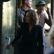 不死鸟 Phoenix